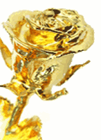 Gold Covered Roses