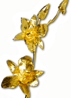 real orchid dipped in 24kt gold